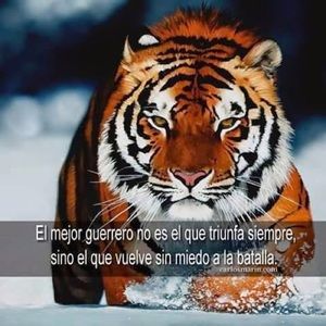 Meet your Posher, Norma